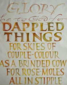 01d8796bb83aaaa8c9dd03ed13507e28