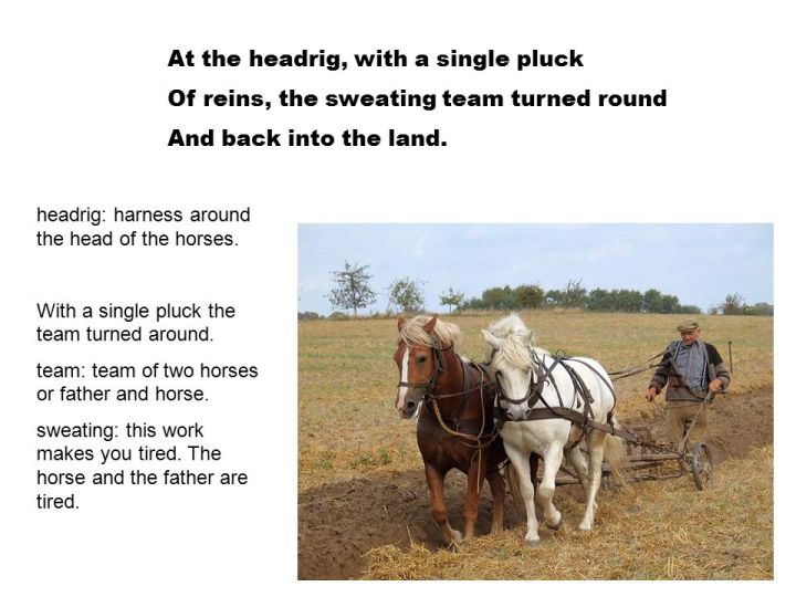 At+the+headrig,+with+a+single+pluck