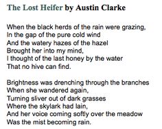 8771320547ff83bca253cce98f8ee10d--austin-lost