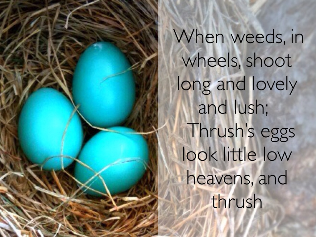 A6FFB911-4499-460B-842C-E6D84B7C4AC7